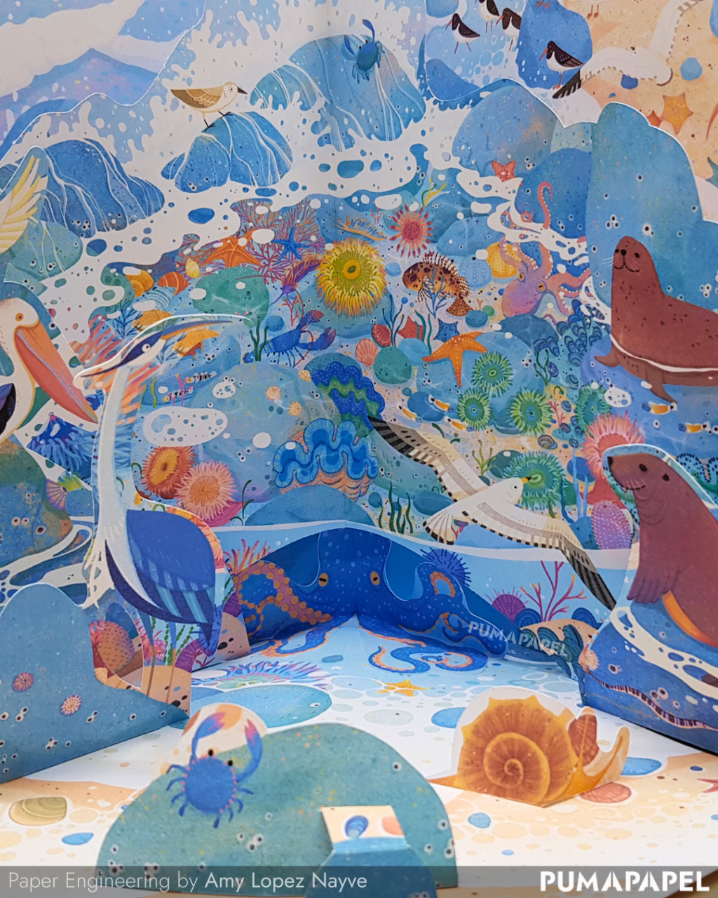 Seas and Oceans: An Underwater Adventure Pops&nbsp;Up!